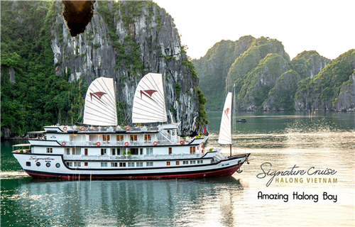Signature Halong Cruise is The Best Luxury Wooden Cruise in Halong Bay - Viet Nam 