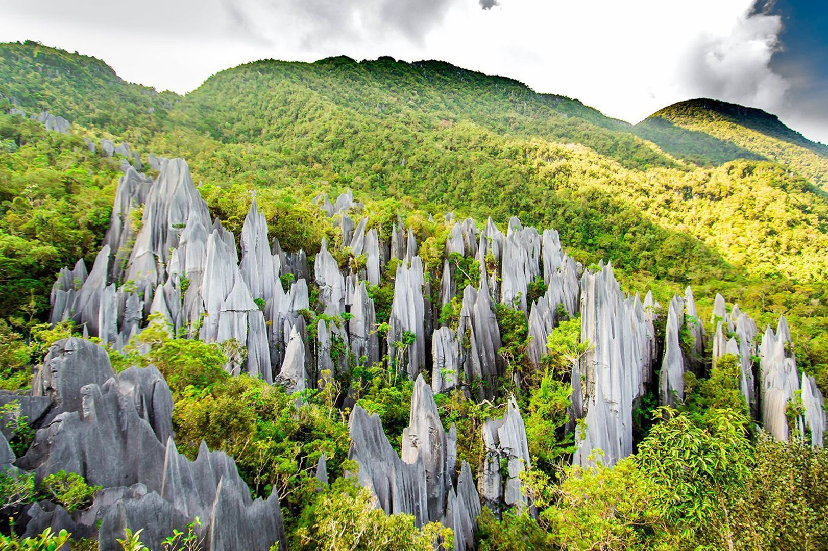 Discover Gunung Mulu National Park: Your Complete Guide | Asia Marvels